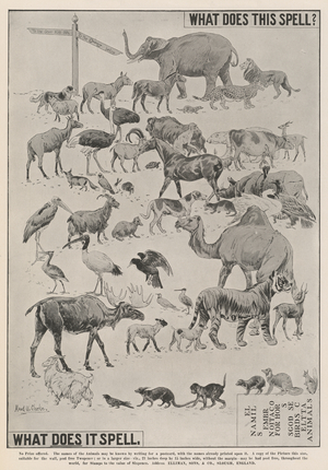Advertisement, Ellimans Embrocation (engraving)