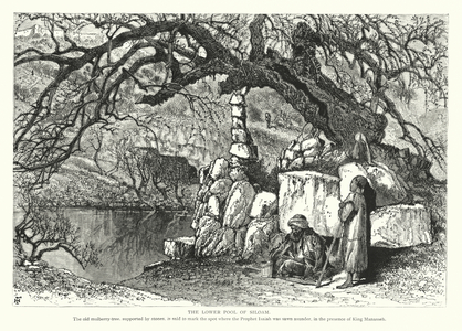 The Lower Pool of Siloam (engraving)
