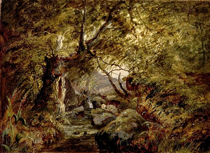 A Woodland Stream (oil on canvas)