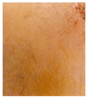 1/4 Second Film Fragment, 1992 (C-type colour photo)