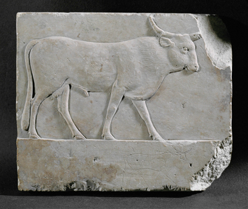Bull. Limestone bas-relief, sculptor' s model, Late Period, Egypt E 14 228 …