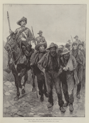 The Transvaal War, Boer Prisoners on the Way to Pietermaritzburg (litho)