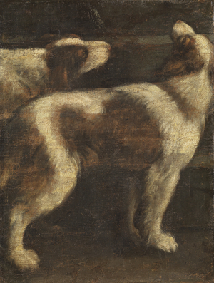 Two Dogs (fragment), c.1625-50 (oil on canvas)