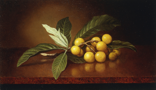 Tropical Plums, (oil on canvas)