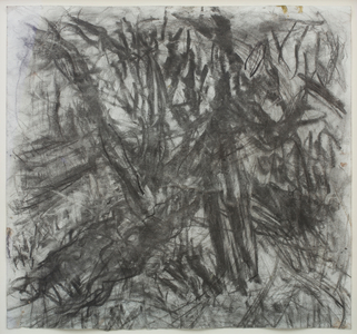 Cherry Tree and Tube Train, 2008 (charcoal on paper)