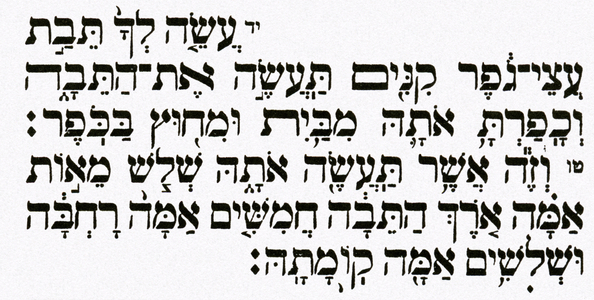 Noah's Ark - Genesis, Bible