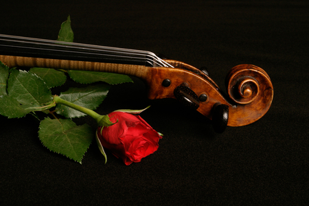 Violin with