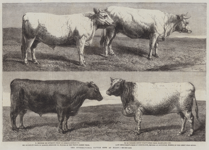 The International Cattle Show at Poissy (engraving)