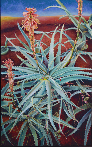 Aloe, 1991(acrylic on canvas)