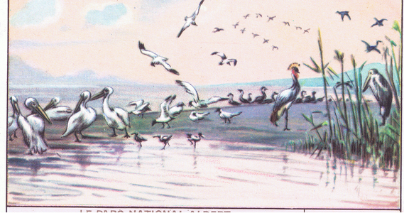 The National Albert Park: Lake Edouard, from colour Liebig postcard (colour litho)