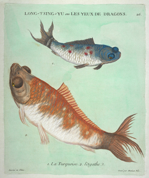 Long-Tsing-Yu ou Les Yeux de Dragons: La Turquoise, L'Agathe