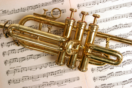 Fanfare trumpet or Ceremonial