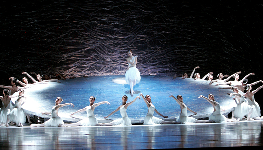 Swan Lake - scene (photo)
