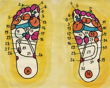 Reflexology, Panel representing the main plan of the reflex zones of the feet.