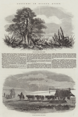 Sketches in Buenos Ayres (engraving)