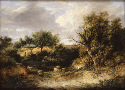 Wooded Landscape (oil on canvas)