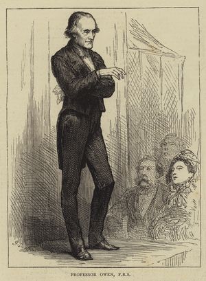 Professor Owen, FRS (engraving)
