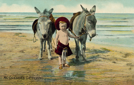McGregor's Gathering, Boy in kilt with donkeys on beach (colour photo)