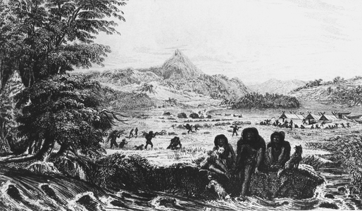 Fuegians at Woollya, with the expedition's camp in the background, 1833