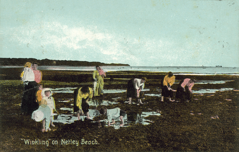 Winklers, Netley Beach, Hampshire (colour photo)
