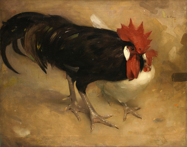 The Black Cock (oil on canvas)