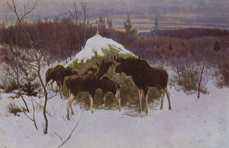 Herd of Elk, 1889 (colour litho)