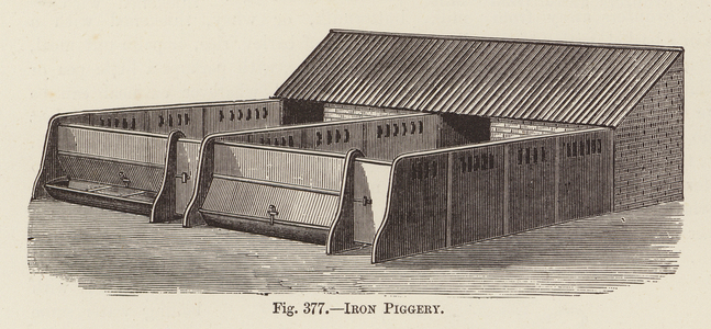 Iron Piggery (engraving)