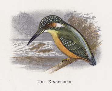 The Kingfisher (chromolitho)