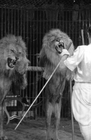 Circus program with predators, 1954 (b/w photo)