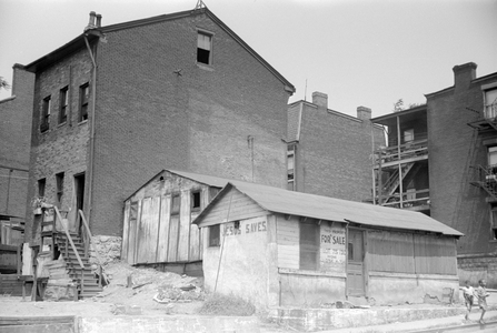Houses on "The Hill" slum section of Pittsburgh, Pennsylvania, 1938 (b/w photo)