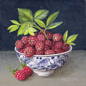 Blue and White Bowl of Raspberries, 1997 (acrylic on board)