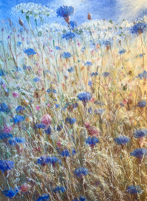Cornflowers 2 (acrylic on canvas)