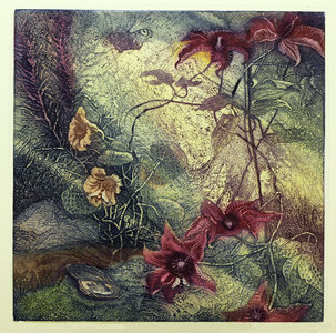 Clematis, 2013 (etching)