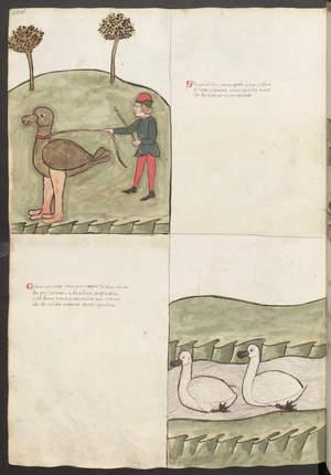Full page: text and miniatures (miniature)