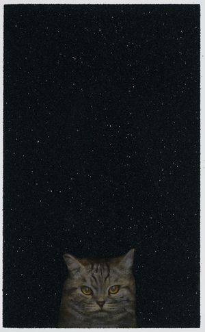 On the Threshold -Diamond Cat, 2014 (print)