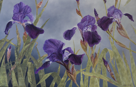 Iris hybrida (detail), 2015 (acrylic on gessoed wood)