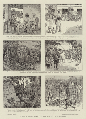 A Royal Tiger Hunt, or, the Perfect Arrangement (engraving)