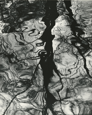 Trees, Water, Reflections, Holland, 1973 (silver gelatin print)