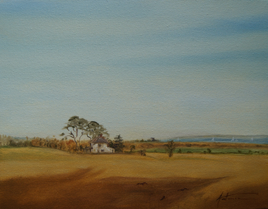 House and Fields, 2016 (oil on canvas)