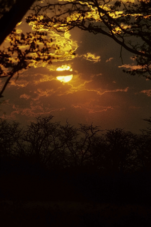 African sunset, Mpumalanga (photo)