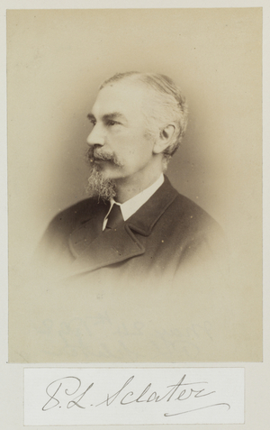 Philip Lutley Sclater (b/w photo)