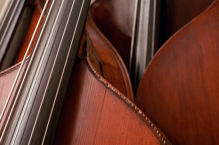 Double bass composition leaning