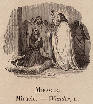 Le Vocabulaire Illustre: Miracle; Wunder (engraving)