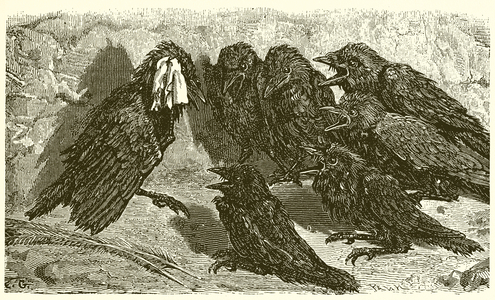 The Vain Jackdaw (engraving)