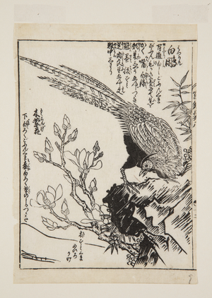 Pheasant and Magnolia (colour woodblock print)