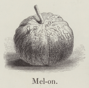 Melon (engraving)