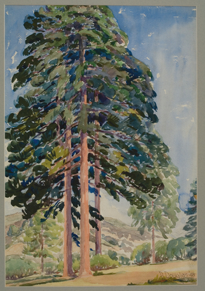 Trees, 1948 (watercolor on paper)