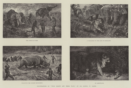 Illustrations of "Wild Beasts and their Ways," by Sir Samuel W Baker (engraving)