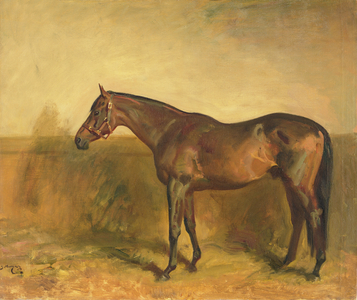 Portrait of Lord Derby's Stallion, 'Fairway', painted at Newmarket, 1936 (oil on canvas)