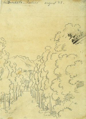 Woodland, from an album of tracings (pencil on paper)